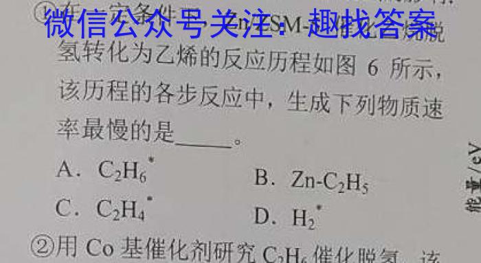 安徽省十联考 2022-2023学年度第二学期高二开学摸底联考(232394D)化学