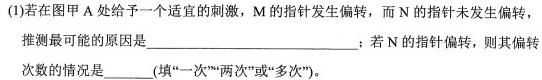 2023届衡水金卷西南名校高三第一次大联考生物