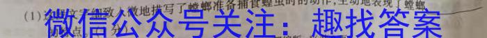 广东省2024-2023学年度高二第一学期教学质量监测语文