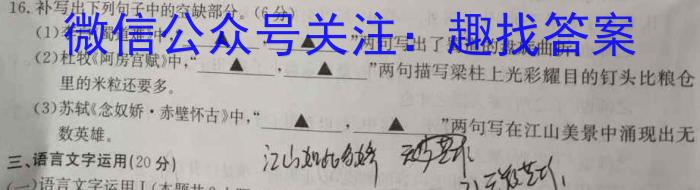 湖南省2022年高二下学期期末质量检测(2月)语文