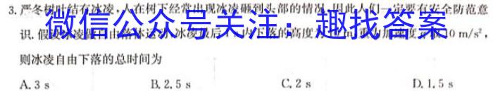 安徽2023老高考新课标适应性检测l物理