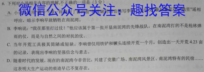 河南省普通高中毕业班高考适应性试语文