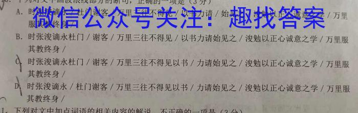 山西省实验中学2023届九年级第二学期第五次阶段性测评（卷）语文