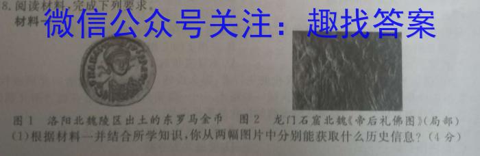 陕西省汉阴县2022~2023学年度八年级第一学期期末学科素养检测(2月)历史