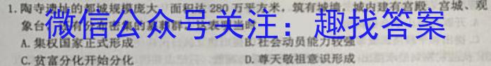 2022~2023学年度芜湖市高二上学期期末学情检测(23-261B)历史