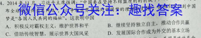 河南省2022-2023学年度九年级综合素养评估（五）（PGZX B HEN）历史