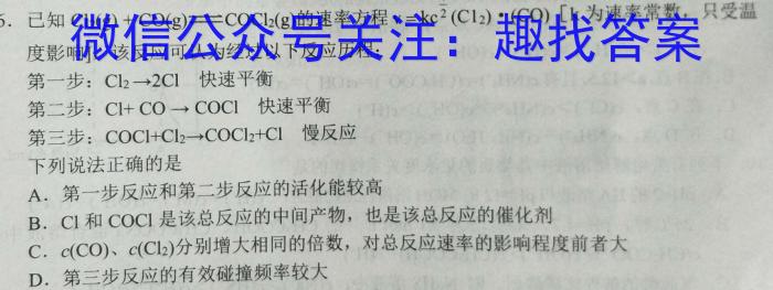 智慧上进2023届限时训练40分钟·题型专练卷(十)化学