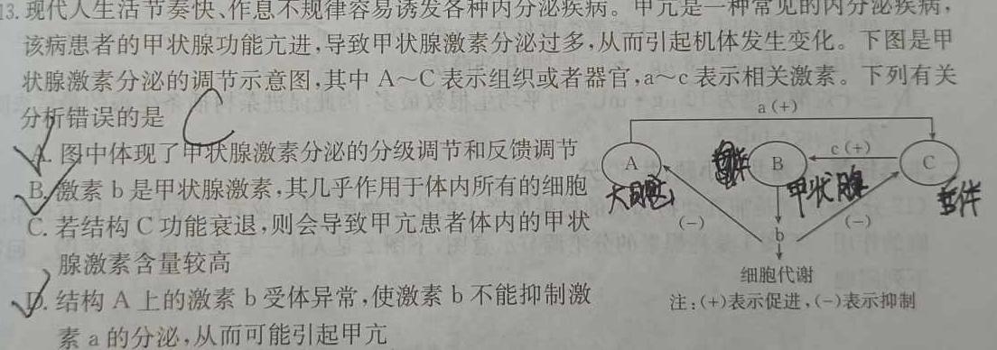 2022~2023学年核心突破QG(十六)16生物