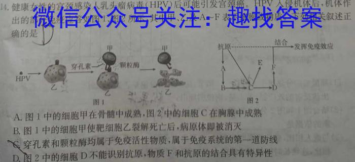 2023年普通高等学校招生伯乐马模拟考试(二)2生物