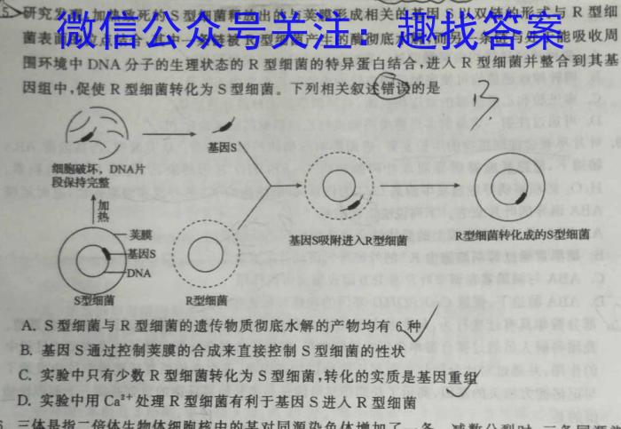 2023年普通高等学校全国统一模拟招生考试新未来2月联考生物