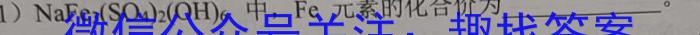 2022年衡阳市高一年级期末质量监测(2023.02)化学