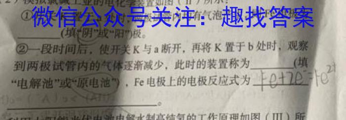 陕西省2023届九年级2月联考（23-CZ69c·金卷一）化学