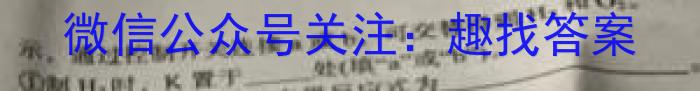 陕西省2023届九年级2月联考（23-CZ69c·金卷一）化学