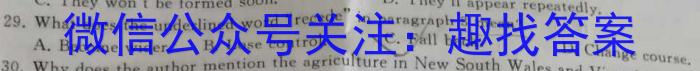 庐江县2024/2023学年度第一学期九年级期末教学质量抽测英语