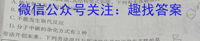 湖南省2023届高三一起考大联考(模拟一)化学