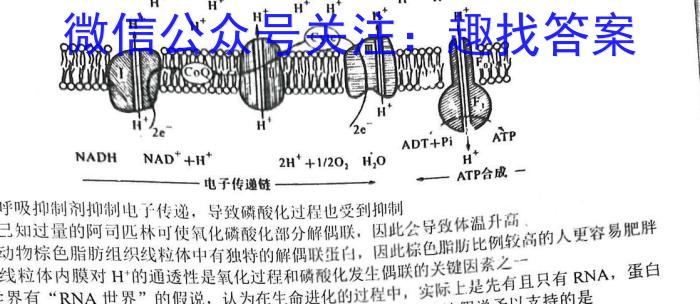 2023届湖北圆创名校联盟高三第四次联考生物