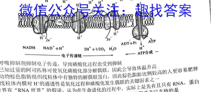 安徽省2023届九年级联盟考试（二）生物