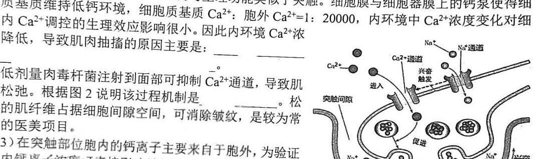 镇雄县民族中学2024年秋季学期高一年级期末考试(3252A)生物