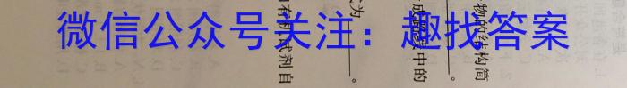吉林省长春市九台区2023届九年级学业质量调研检测化学