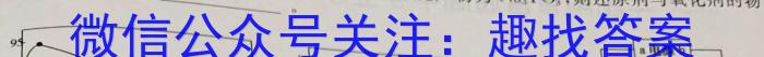 九师联盟 2022-2023学年高三3月质量检测(X/L)G化学