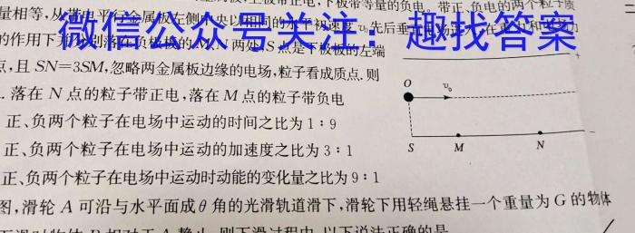 2023年普通高等学校招生全国统一考试名校联盟·模拟信息卷(八)8.物理