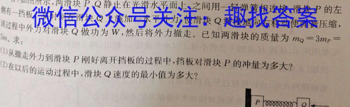 2022-2023衡水金卷先享题高考备考专项提分卷(新教材)高考大题分组练(6)试题.物理