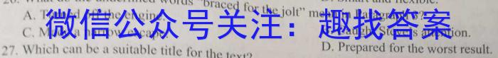 安徽第一卷·2023年九年级中考第一轮复习（十四）英语