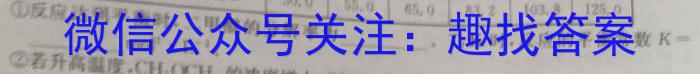 陕西省西安市2023届九年级模拟检测卷（22-02-CZ85c·金卷（一））化学