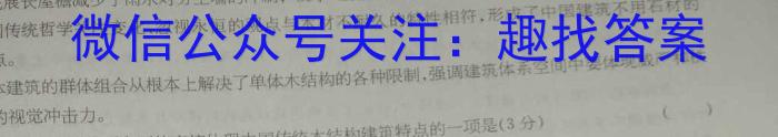 安徽第一卷·2023年九年级中考第一轮复习（九）语文