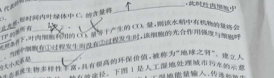 全国名校大联考2022~2023学年高三第七次联考试卷生物