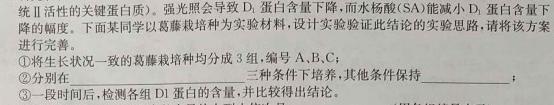 2023年全国名校高一第一学期期末考试（必修第一册-XJ-X-E-唐）政治y