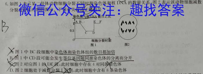 2022-2023学年甘肃省高二开学检测(23-311B)生物试卷答案