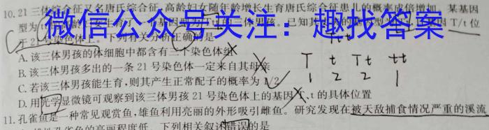 衡中同卷 2022-2023学年度下学期高三年级一调考试(新高考/新教材)生物