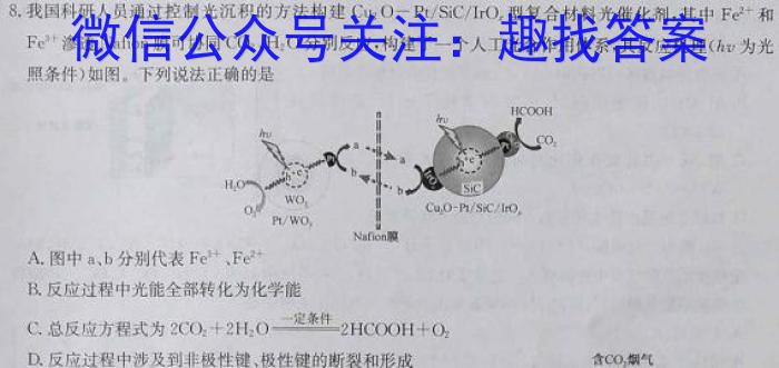 云南师大附中2025届高一年级上学期教学测评期末卷化学