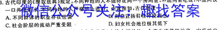 [国考1号13]第13套 高中2023届知识滚动综合能力提升检测历史试卷