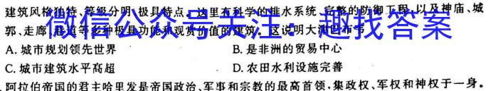 2023年普通高等学校招生全国统一考试名校联盟·模拟信息卷(五)5历史