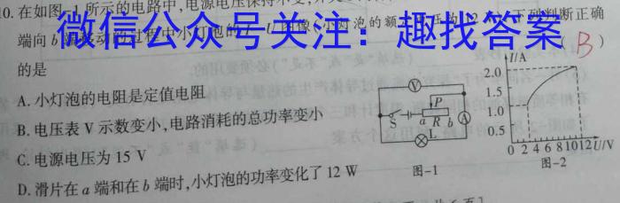 2023年山西中考押题卷（二）物理.