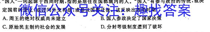 湖南省2023届高三一起考大联考(模拟一)历史