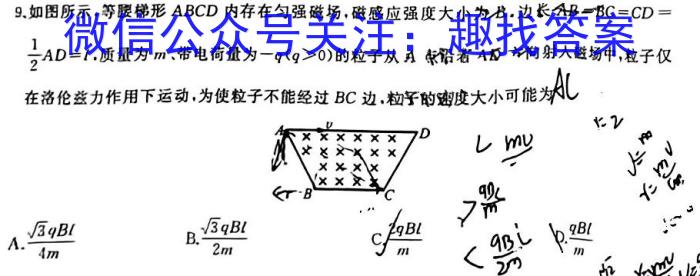 楚雄州中小学2022~2023学年上学期高三期末教育学业质量监测(23-212C).物理