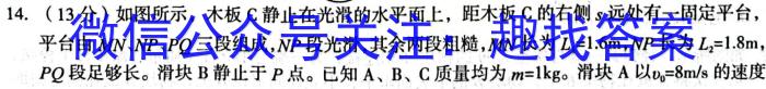 湖南省2023届高三一起考大联考(模拟一)物理`