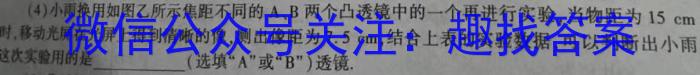 智慧上进2023届限时训练40分钟·题型专练卷(二)l物理
