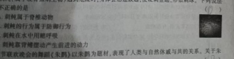 巴蜀中学2023届高考适应性月考卷(六)6生物