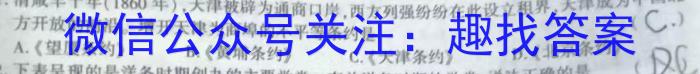 安徽省十联考 2022-2023学年度第二学期高二开学摸底联考(232394D)历史