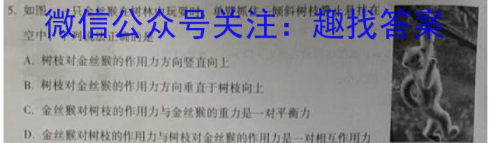 2023年全国新高考冲刺压轴卷(四)4物理.