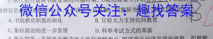 湖南省2024年高二下学期期末质量检测(2月)历史