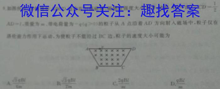 河南省周口市项城市2024届八年级下学期阶段性评价卷一物理.