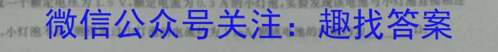 2023届陕西西安市2023届高三年级2月联考（23-318C）.物理