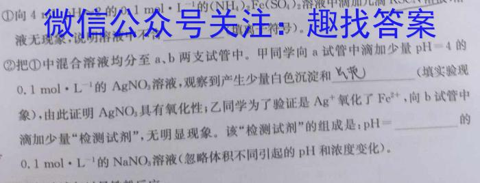 安徽省六安市2024届八年级第一学期期末质量监测化学