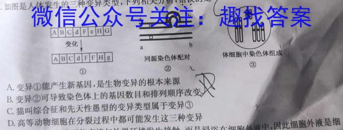 四川省成都市蓉城名校联盟2022-2023学年高三下学期第二次联考生物