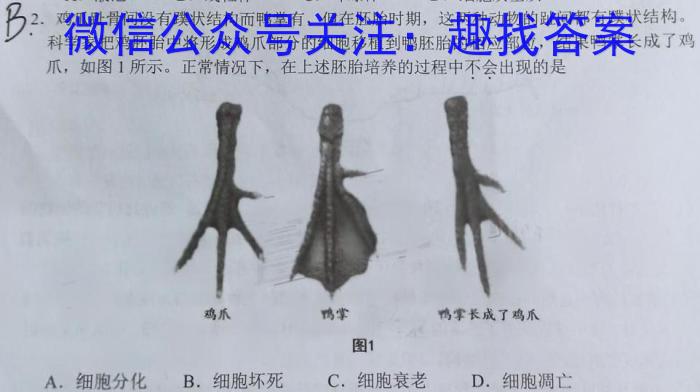 2023届安徽省江南十校一模联考(3月)生物